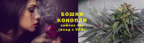 a pvp Белокуриха