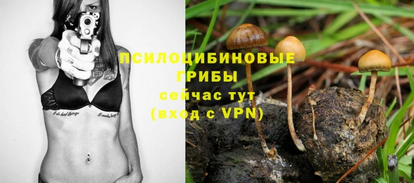 a pvp Белокуриха