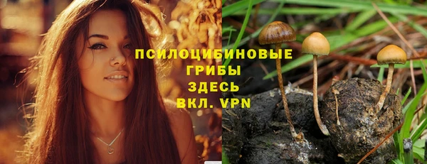 спайс Богородицк