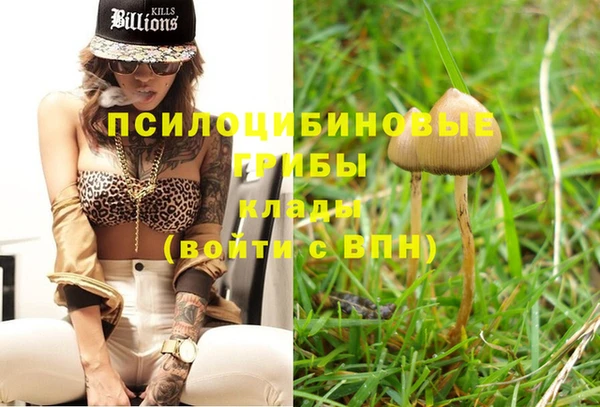 экстази Богданович