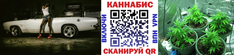 закладки Окуловка Марихуана планчик